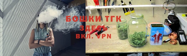 шишки Медногорск