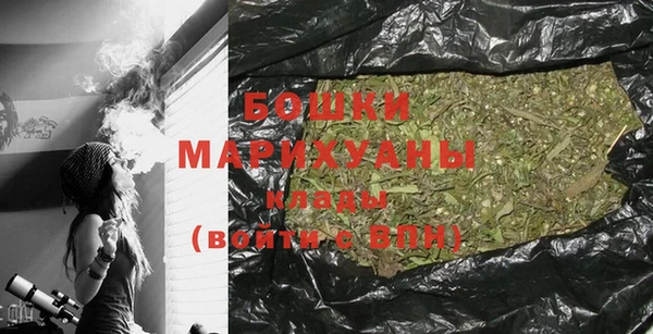 шишки Медногорск
