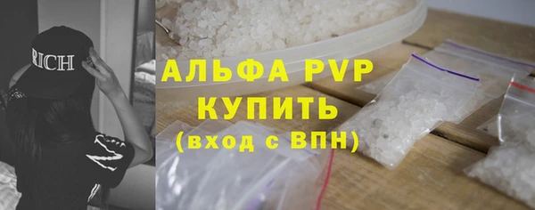 шишки Магас