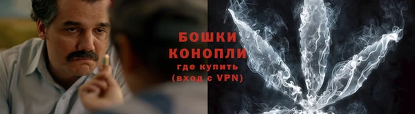 шишки Медногорск