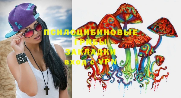 скорость Медвежьегорск