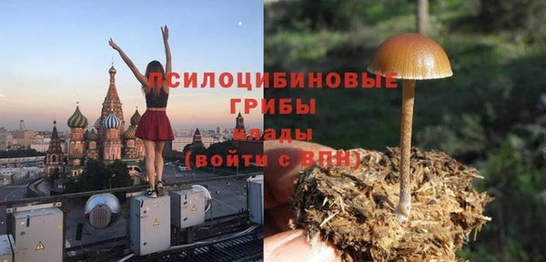 шишки Медногорск