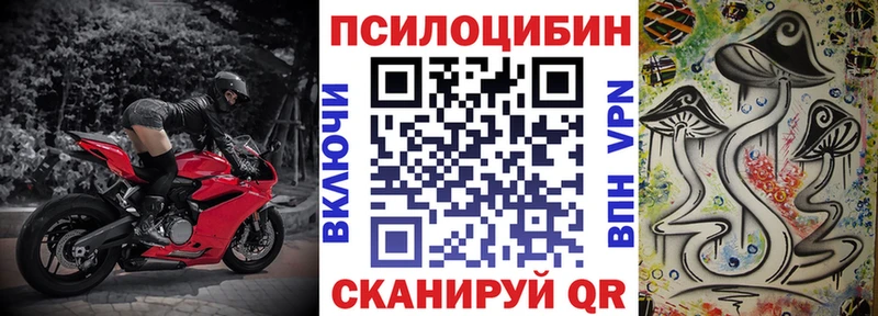 Псилоцибиновые грибы Cubensis  Гагарин 