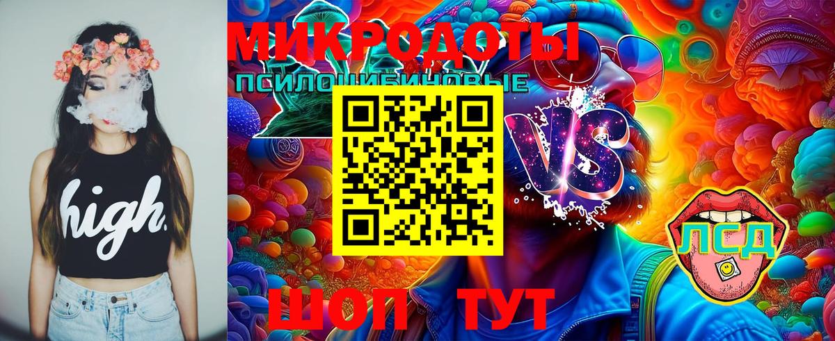 Гагарин  Галлюциногенные грибы прущие грибы  Вход с VPN 